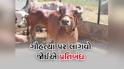 Cow Slaughter: અલ્હાબાદ હાઈકોર્ટના મુસ્લિમ જજે કહ્યું- ગૌહત્યા પર પ્રતિબંધ હોવો જોઈએ
