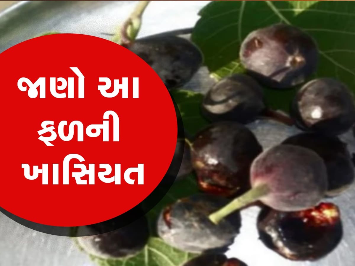 PM Modi Favorite Fruit: અનેક ગુણોથી ભરપૂર છે આ ફળ, કેન્સર જેવી બીમારી સામે લડવામાં કરે છે મદદ