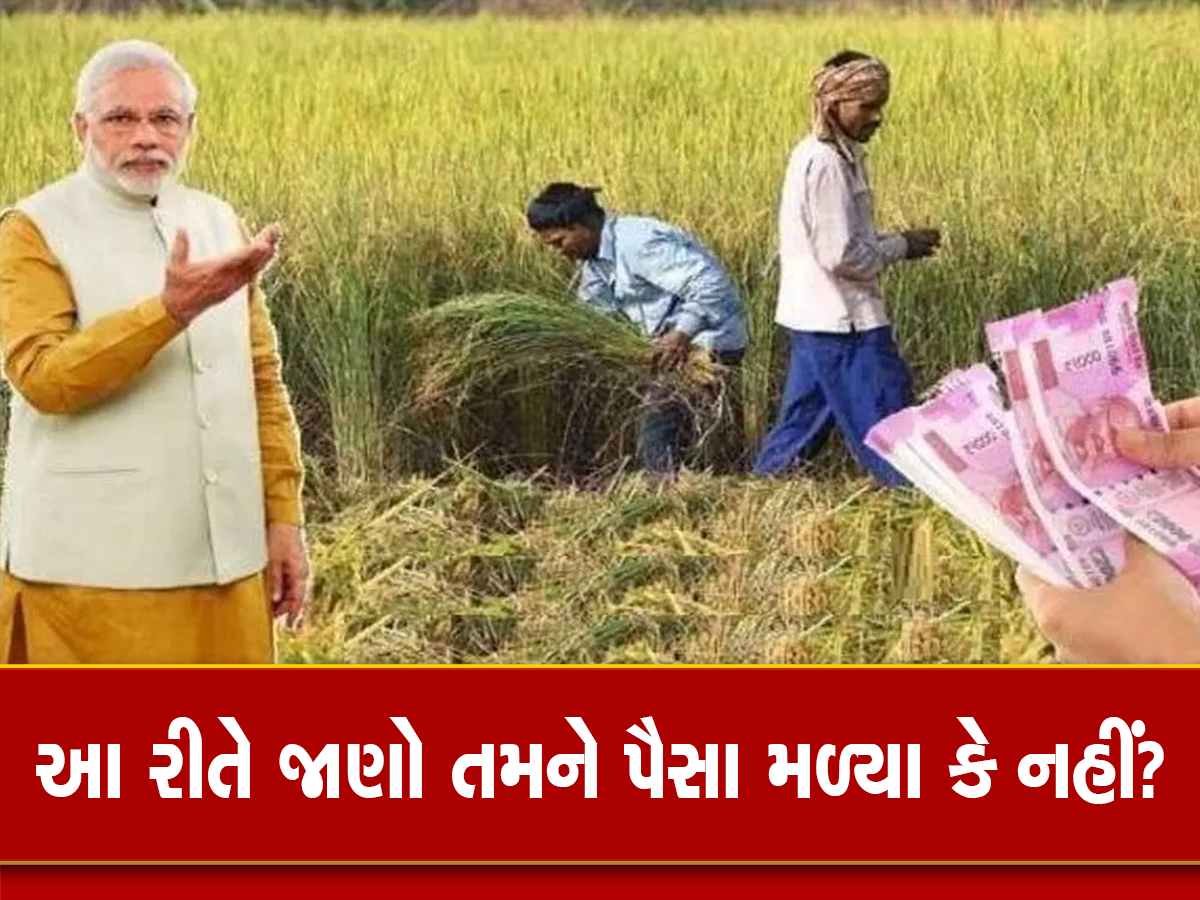 PM Kisan: તમારા ખાતામાં PM કિસાનના પૈસા નથી આવ્યા, તો આ નંબરો પર ફોન કરો, તરત જ મળી જશે 2000 રૂપિયા