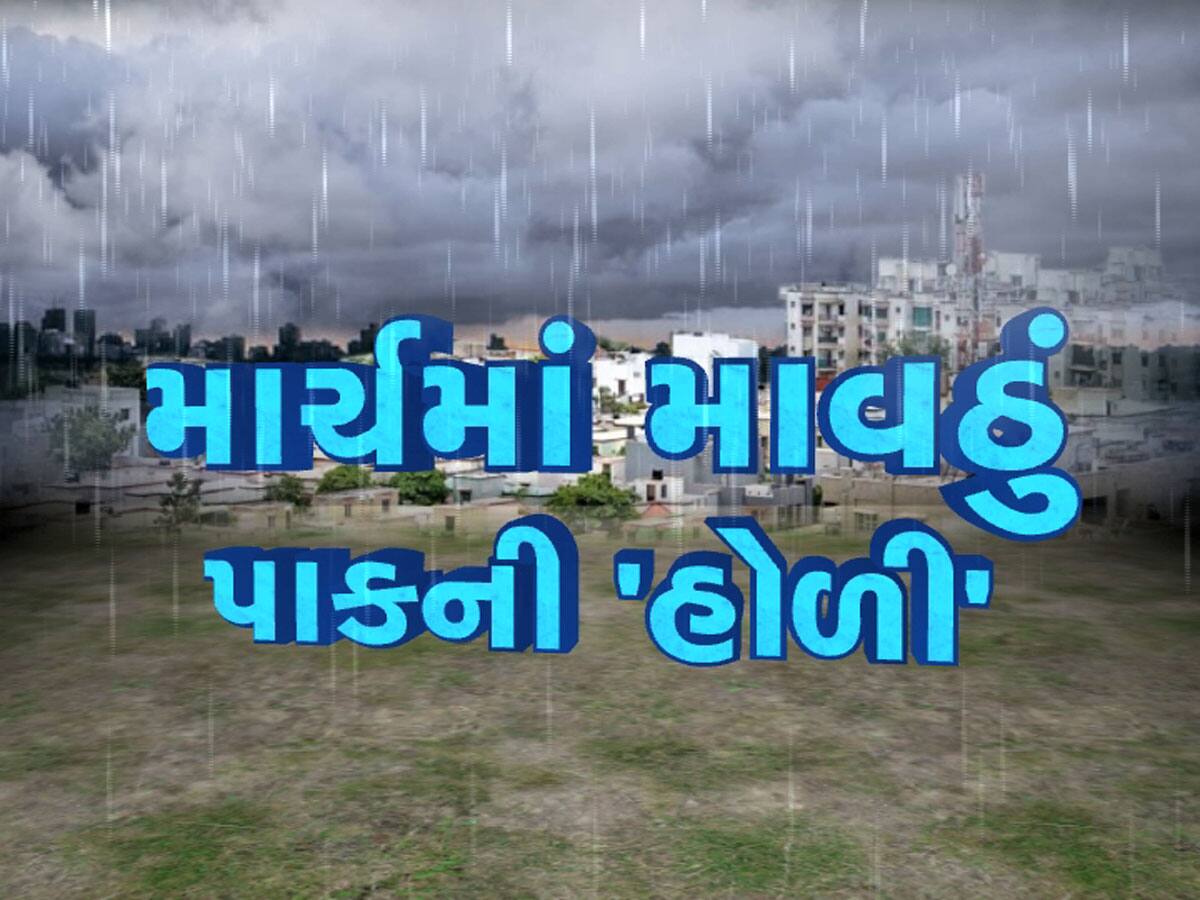 ગુજરાતના 56 જિલ્લામાં આફત, કમોસમી વરસાદથી ખેડૂતોના મુખે આવેલો કોળિયો છીનવાયો! 