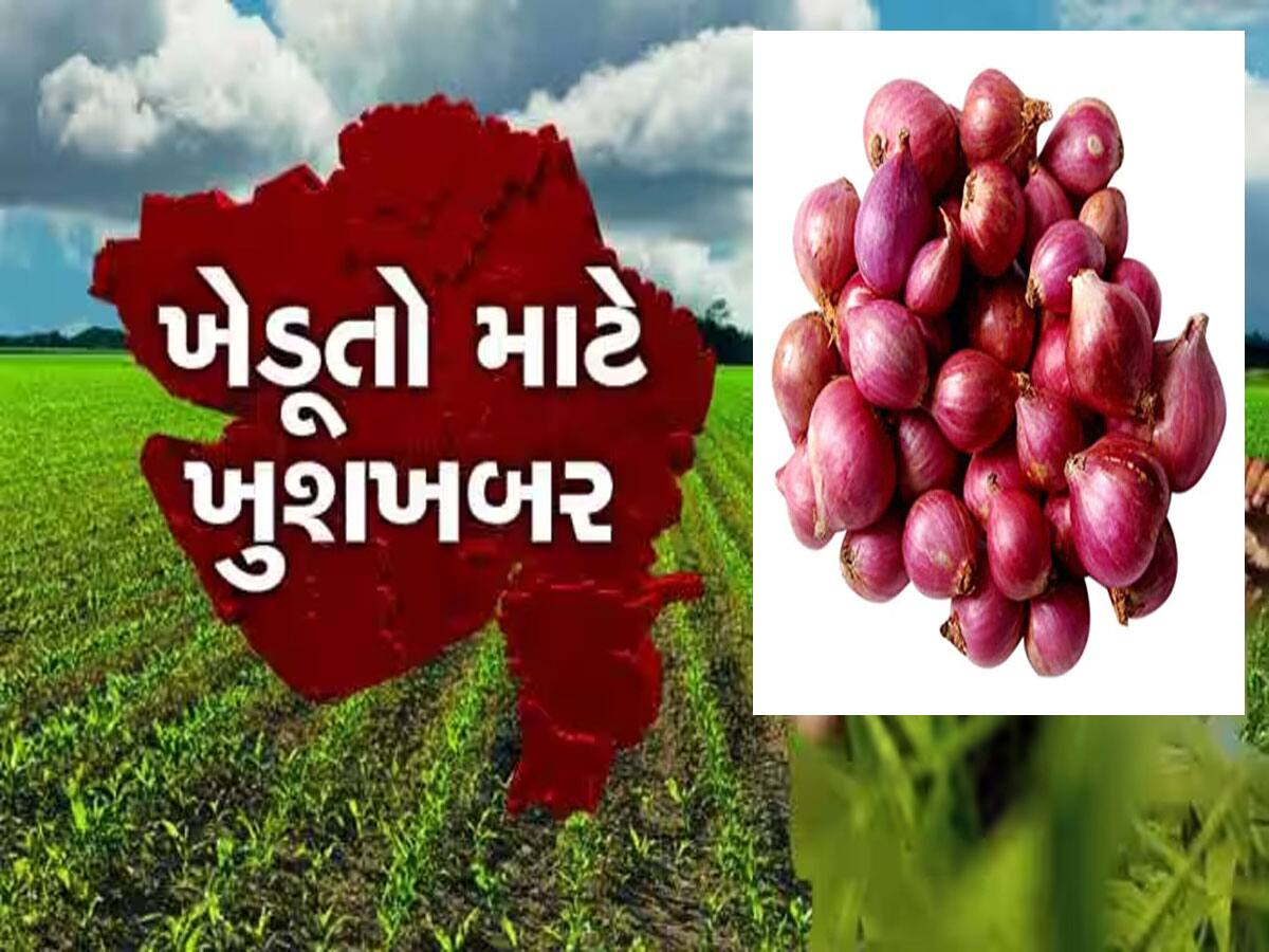 big breaking gujarat government declare 70 crore rupees help for onion