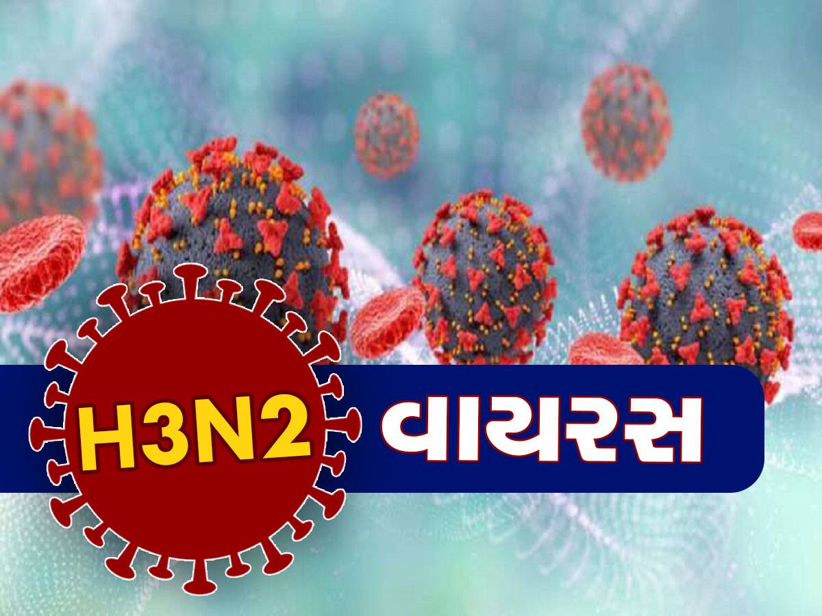 H3N2 વાયરસથી રહો સાવધાન, એક્સપર્ટે કહ્યું- કોવિડ ગયો પરંતુ નબળી ઈમ્યુનિટીવાળા માટે તેનાથી જોખમ