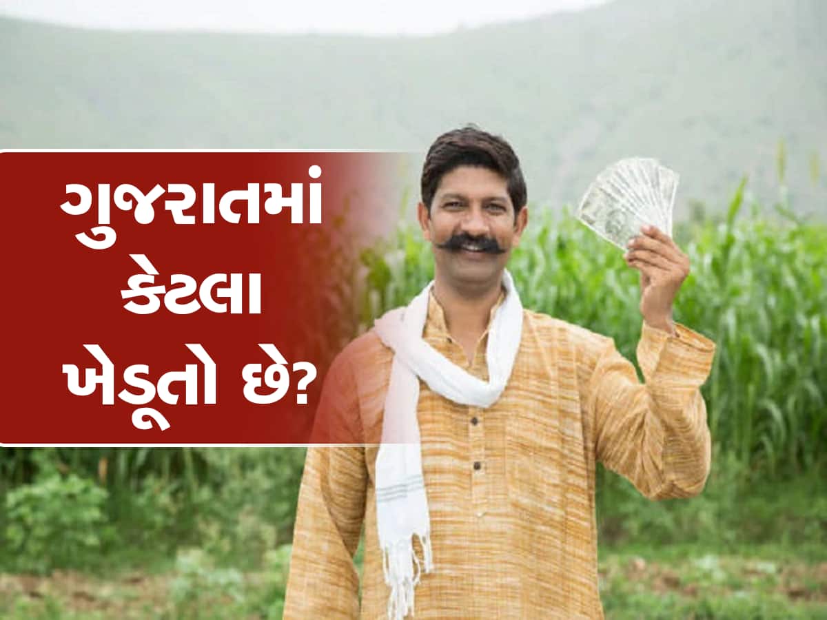 સરકારી ડાયરીમાંથી મોટા આંકડા બહાર આવ્યા, ગુજરાતમાં કુલ કેટલા ખેડૂતો તેનો ખુલાસો થયો