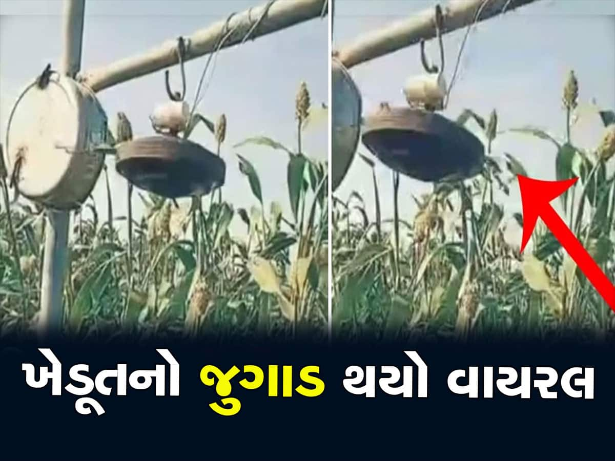 Desi Jugaad: ખેડૂતે પાક બચાવવા માટે ખેતરમાં કર્યો એવો જુગાડ, ટ્રિક થઈ વાયરલ