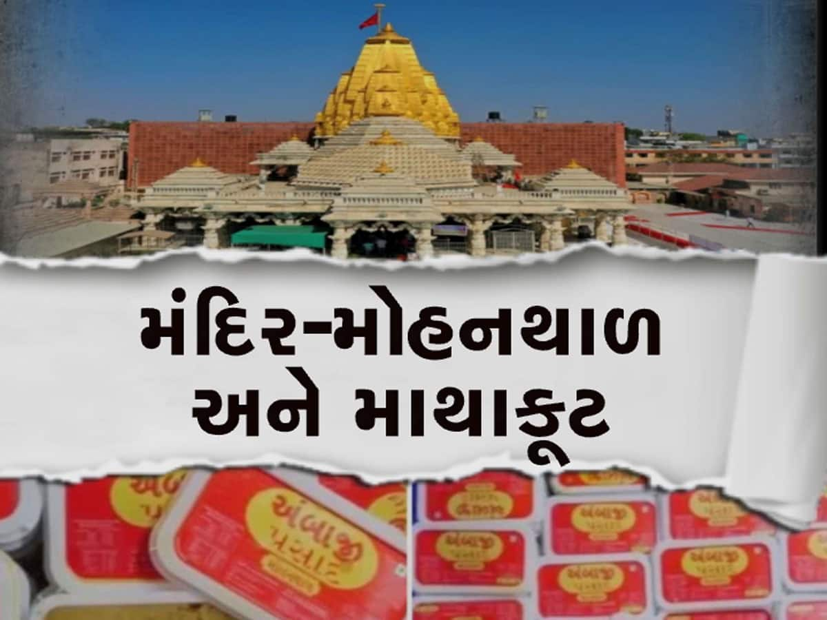 મોહનથાળ પ્રસાદ માટે ભૂદેવોનું તપ : ક્લેક્ટરને પ્રસાદ આપીને કહ્યું, માતાજી તમને સદબુદ્ધિ આપે