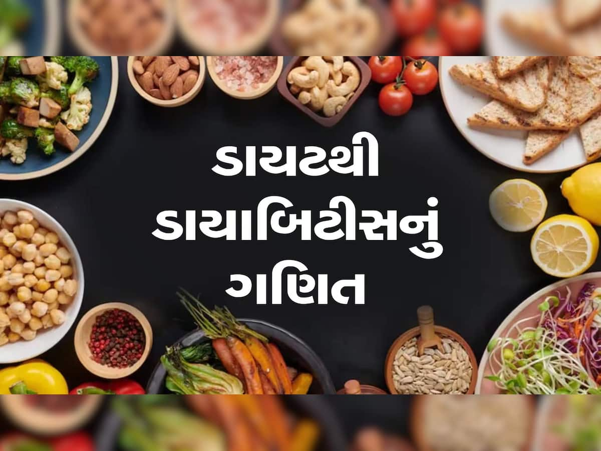  Fiber Rich Foods: ડાયટમાં સામેલ કરો આ ફાઇબર ફૂડ્સ, શરીરને કરી દેશે ડિટોક્સિફાઇંગ