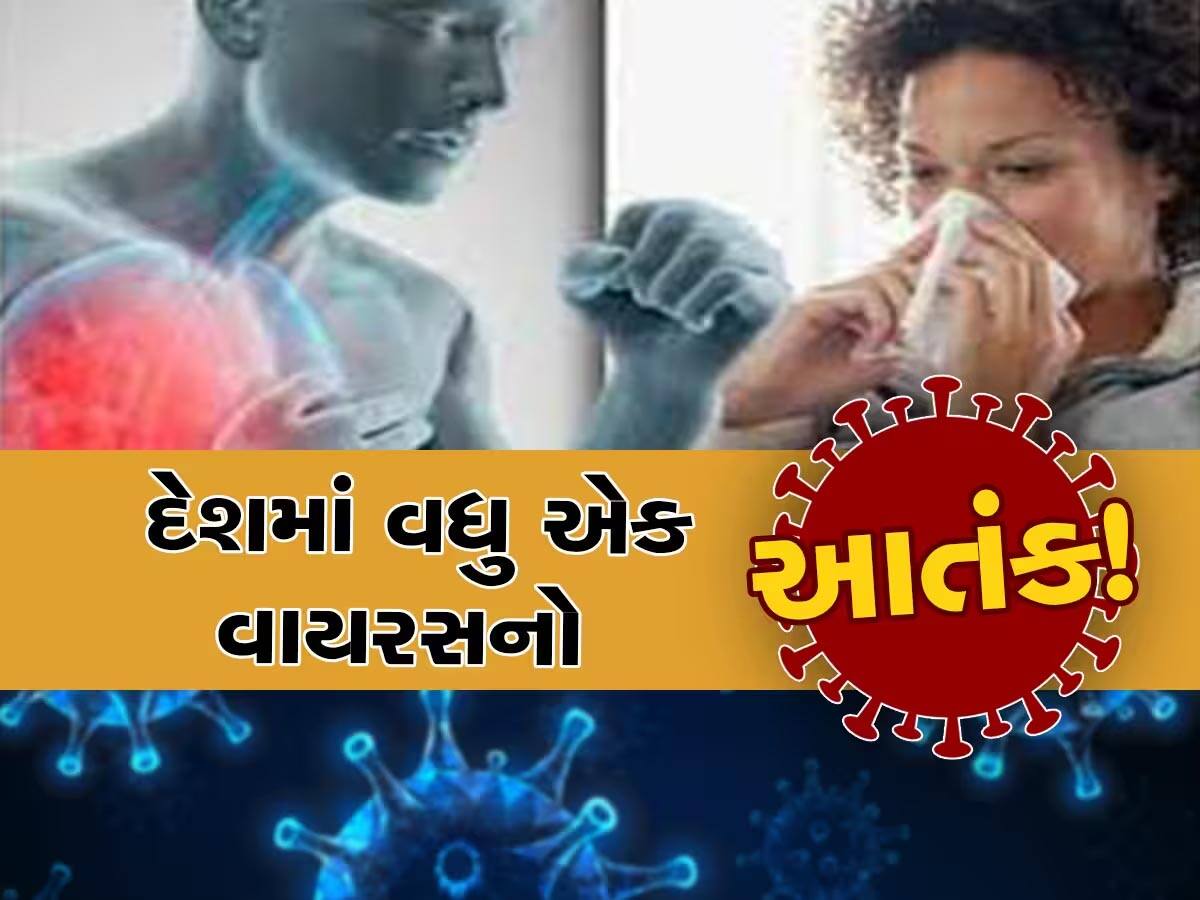કોરોના બાદ H3N2 વાયરસનો કહેર; દેશમાં બે દર્દીના મૃત્યુ, જાણો એક્સપર્ટ્સ પાસેથી કોને છે ખતરો