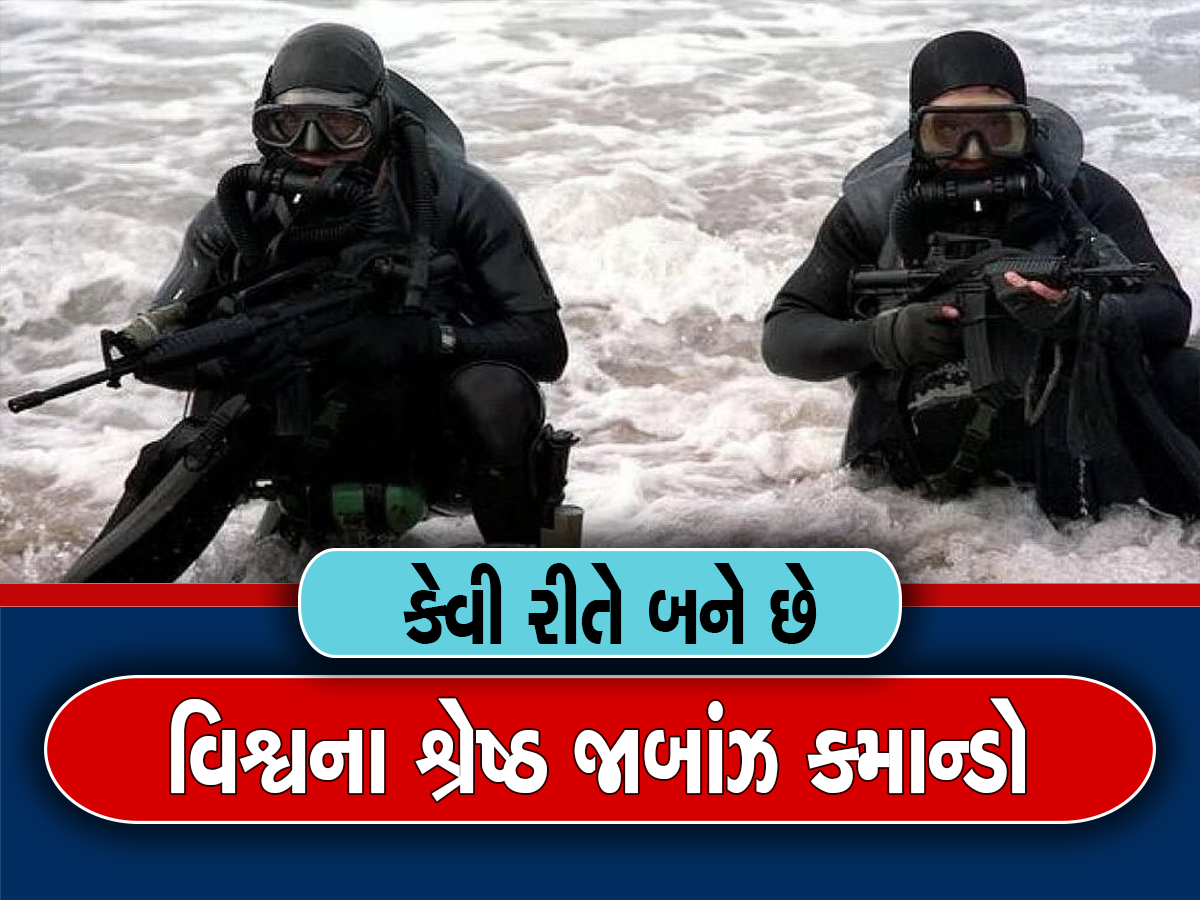 મોત સામે જંગ જીતીને બતાવે એ જ બની શકે છે નેવી સીલના કમાન્ડો, આવી હોય છે જબરદસ્ત ટ્રેનિંગ