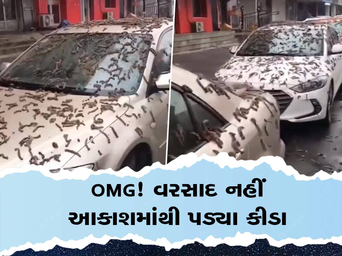 China: શું ખરેખર આકાશમાંથી કીડાનો વરસાદ થયો? જાણો વાયરલ VIDEO ની સત્ય હકીકત