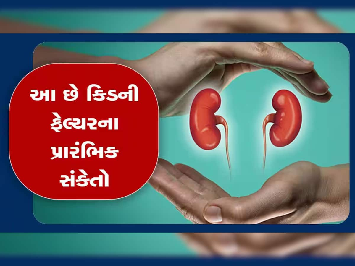 Kidney Disease: ભારતીયોમાં કેમ ઝડપથી ફેલાઈ રહી છે કિડનીની બિમારી? જાણો કિડની કમજોર પડવાના કારણો