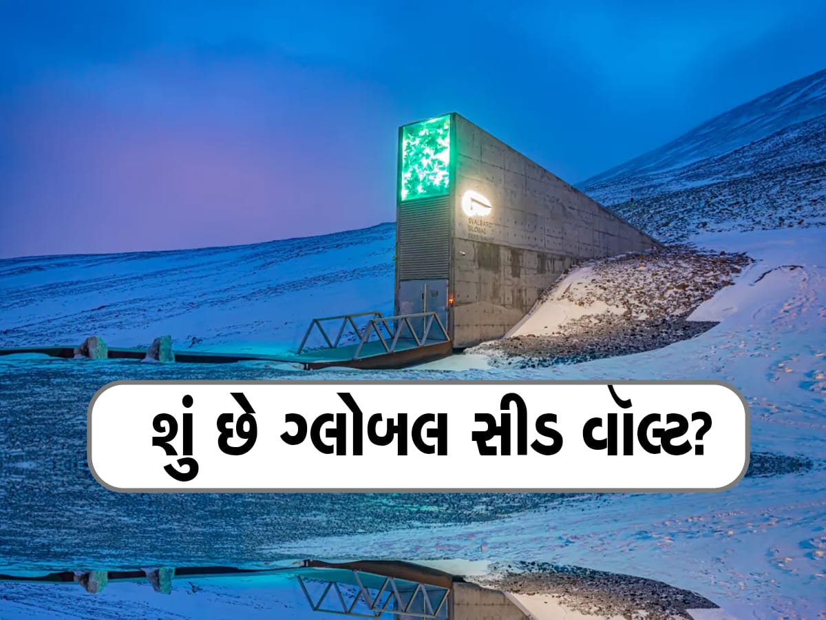 Svalbard Global Seed Vault: આ તિજોરીમાં જમા છે દુનિયાનો સૌથી મોટો ખજાનો