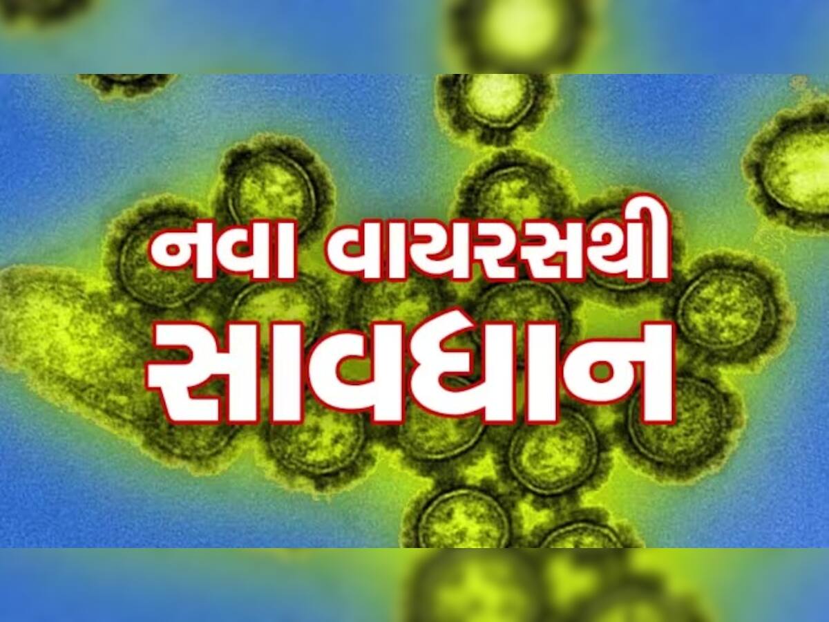 શું ગુજરાતમાં કોરોનાની જેમ H3N2 વાયરસ 'મોતનું તાંડવ' કરશે? અમદાવાદમાં નોંધાયા સૌથી વધુ કેસ