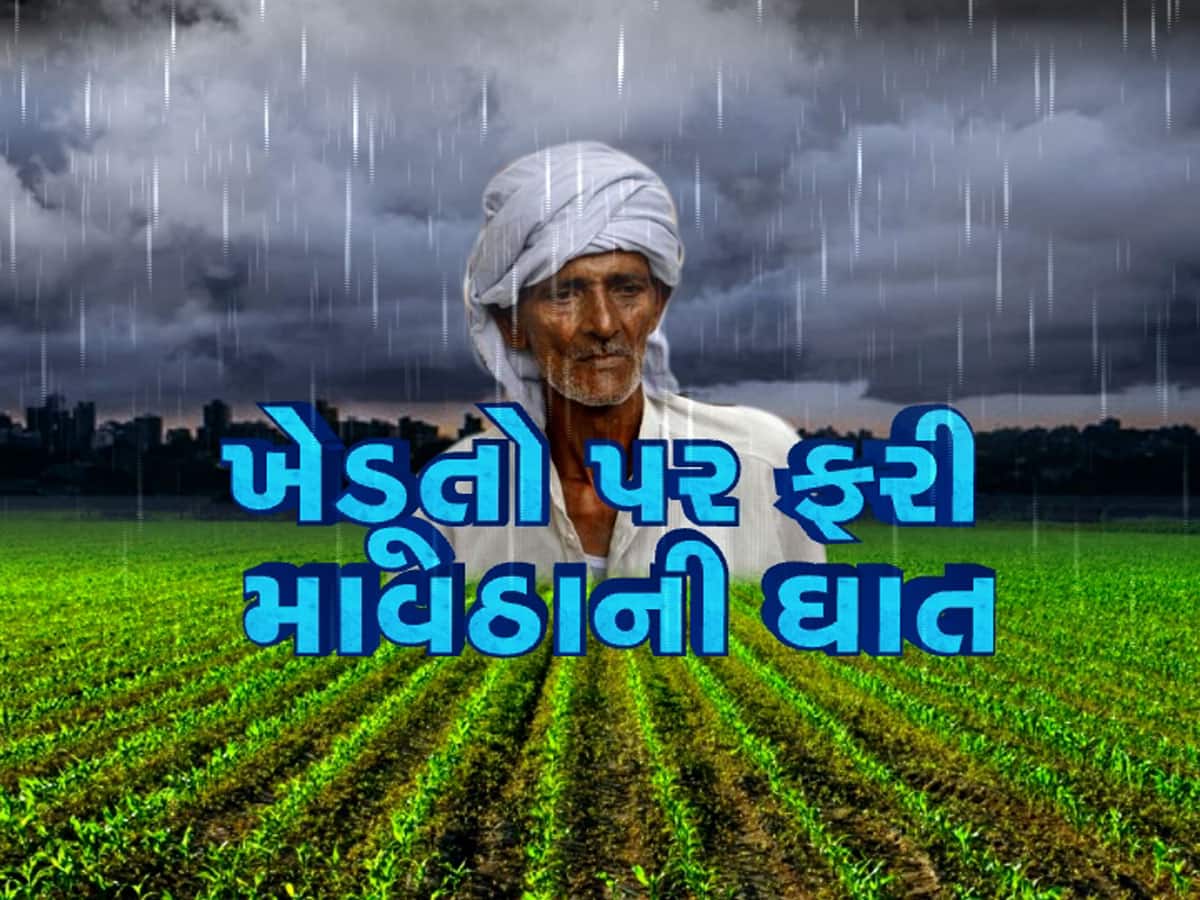 ગુજરાતના 17 જિલ્લામાં થંડર સ્ટ્રોમ સાથે વરસાદની આગાહી, આ 5 દિવસ સાચવી લેજો