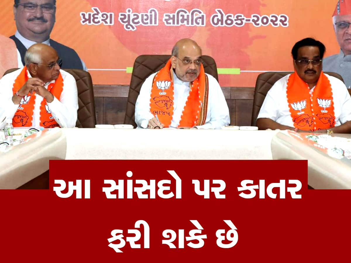 Gujarat Bjp May Change Mp Face For Loksabha Election 2024 Says Sources