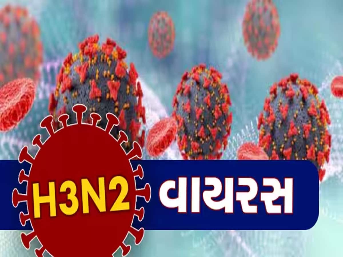 ડરના જરૂરી હૈ : ગુજરાતના આ શહેરમાં H3N2 વાયરસથી પ્રથમ મોત થયું, દેશમાં ત્રીજું