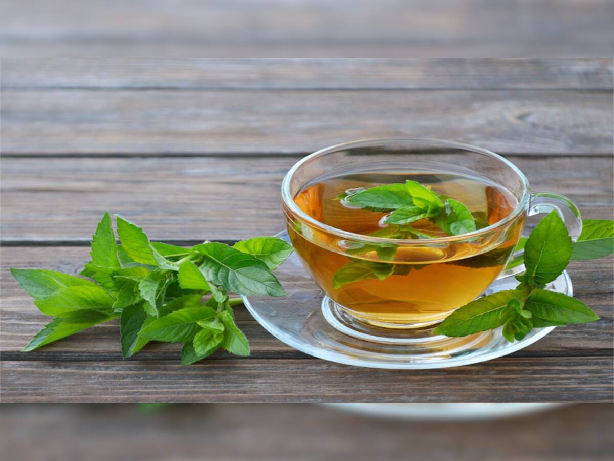 પેટની ગરમીને દુર કરવા ઉનાળામાં પીવો Mint Tea, આ ચા પીવાથી નહીં લાગે લૂ, ગરમીના કારણે થતી તકલીફો પણ થશે દુર