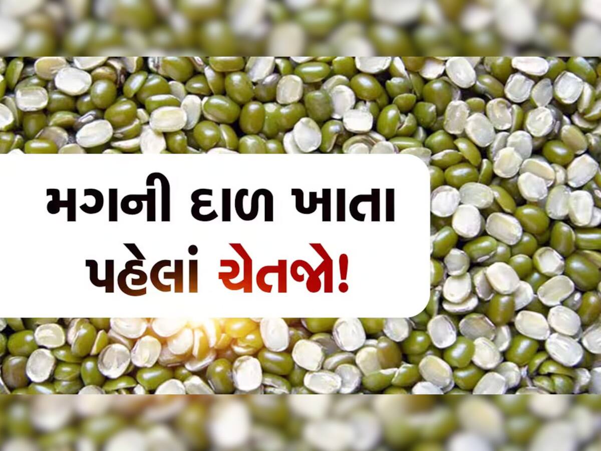 મગની દાળ ખરીદતી વખતે આટલું ધ્યાન રાખો, આ રીતે જાણો દાળ અસલી છે કે નકલી