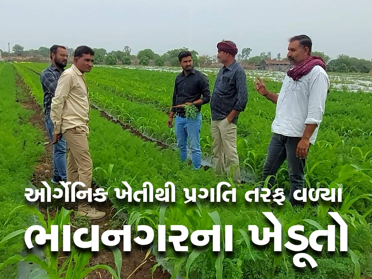 વડાપ્રધાન મોદીની એક સલાહે આ ગુજરાતી ખેડૂતને લખપતિ બનાવ્યા, પછી કદી પાછળ વળીને ન જોયું