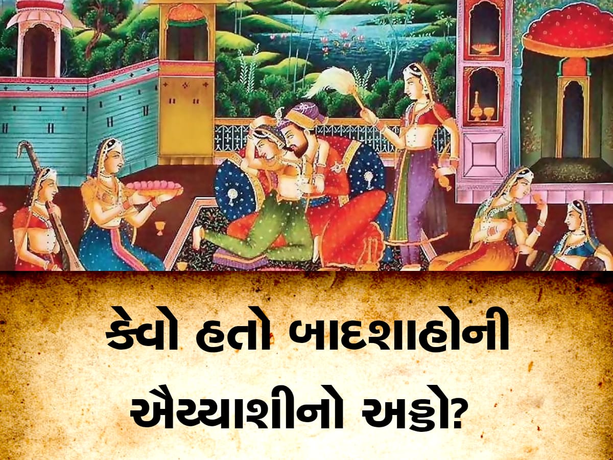 ઐય્યાશી માટે બાદશાહો રાખતા કેવી વ્યવસ્થા? જાણો એક સાથે અનેક સ્ત્રીઓ સાથે સુખ માણવા શું કરતા બાદશાહ