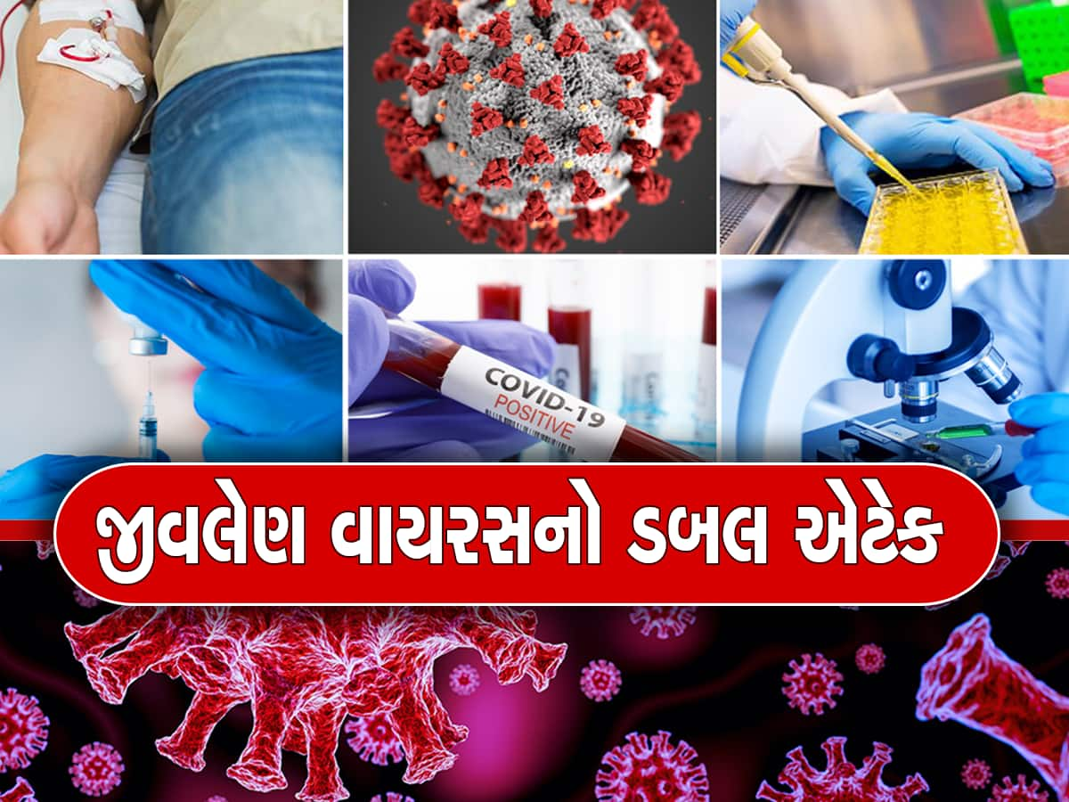 Influenza Virus In India: જ્યાં જ્યાં વધી રહ્યા છે H3N2 ના કેસ, ત્યાં-ત્યાં કોરોનાની પણ વાપસી