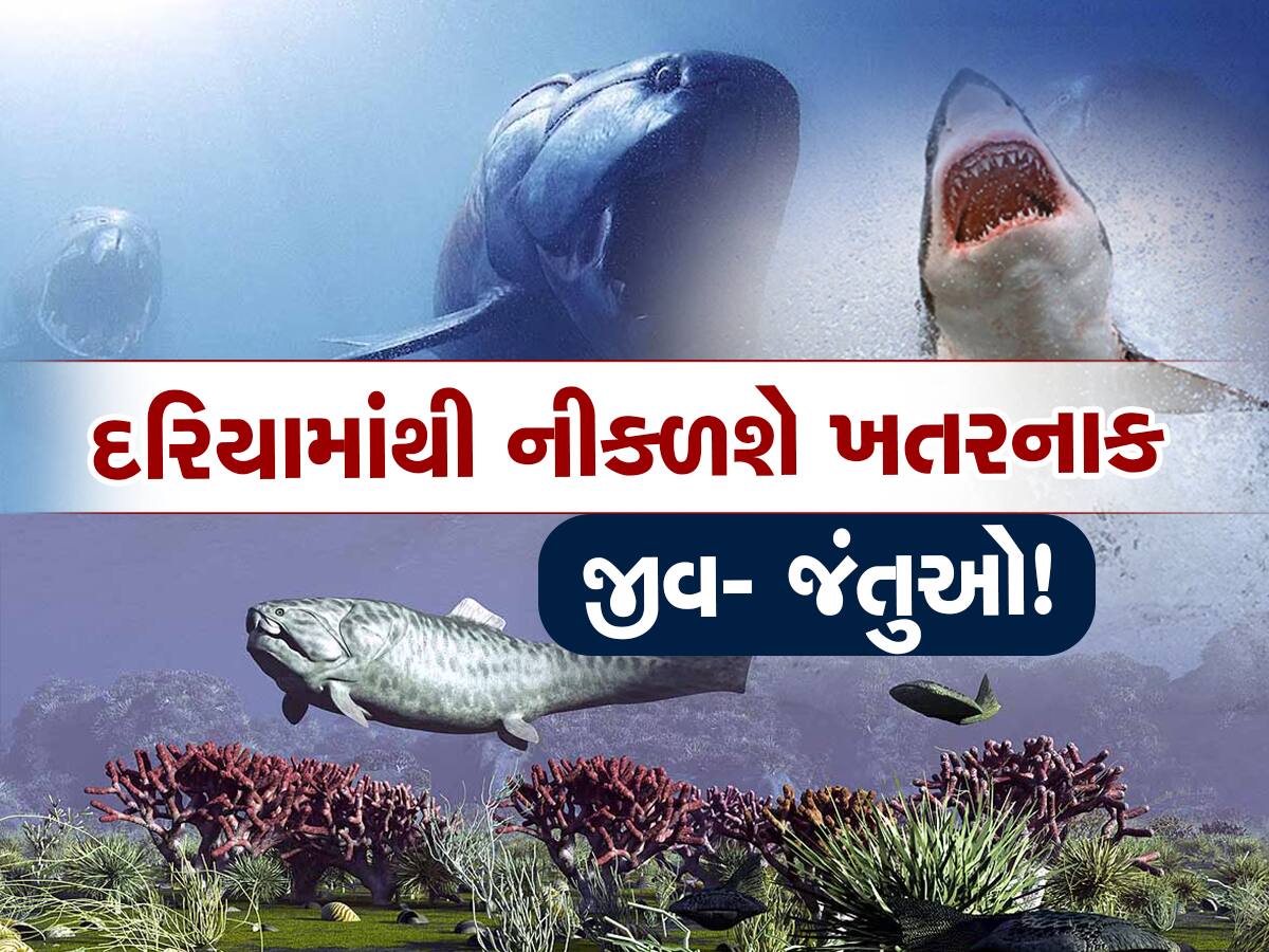 Dangerous creatures: સમુદ્રમાંથી બહાર આવશે ભયાનક જીવો, માણસોનો કરશે શિકાર; શું ગ્લોબલ વોર્મિંગ આગામી સામૂહિક લુપ્ત થવાનું કારણ બનશે?