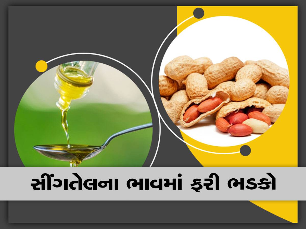 સિંગતેલ, કપાસિયા અને પામોલિન તેલમાં તોતિંગ ભાવ વધારો, આટલા રૂપિયા વધુ ચૂકવવા પડશે