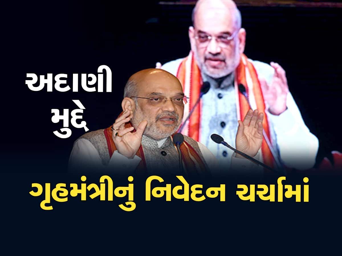 અદાણી-હિંડનબર્ગ કેસ પર અમિત શાહનો મોટો ખુલાસો, શું ખરેખર અદાણી પર કાર્યવાહી થશે?