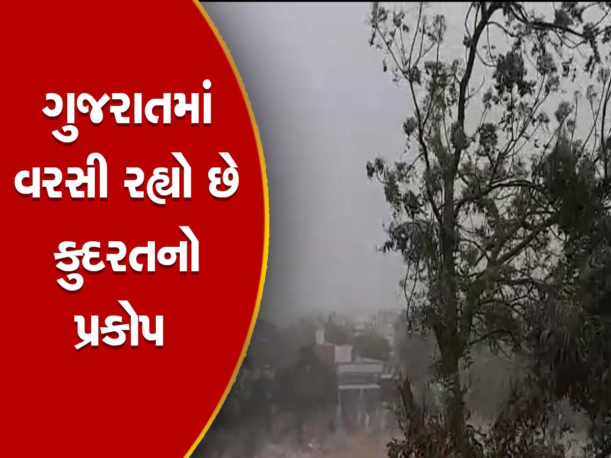 અમદાવાદ સહિત અડધા ગુજરાતમાં મેઘરાજાનું તાંડવ, આ જિલ્લાઓમાં આગામી 2 દિવસ છે ખુબ જ ભારે!