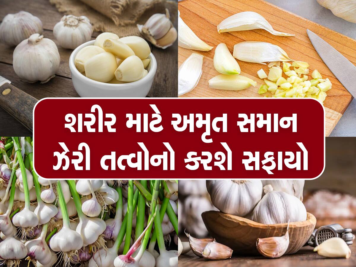 Summer Tips: ઉનાળામાં નહીં થાય આ બિમારીઓનો એટેક, સવારે ખાલી પેટ કરો ફક્ત આ એક કામ