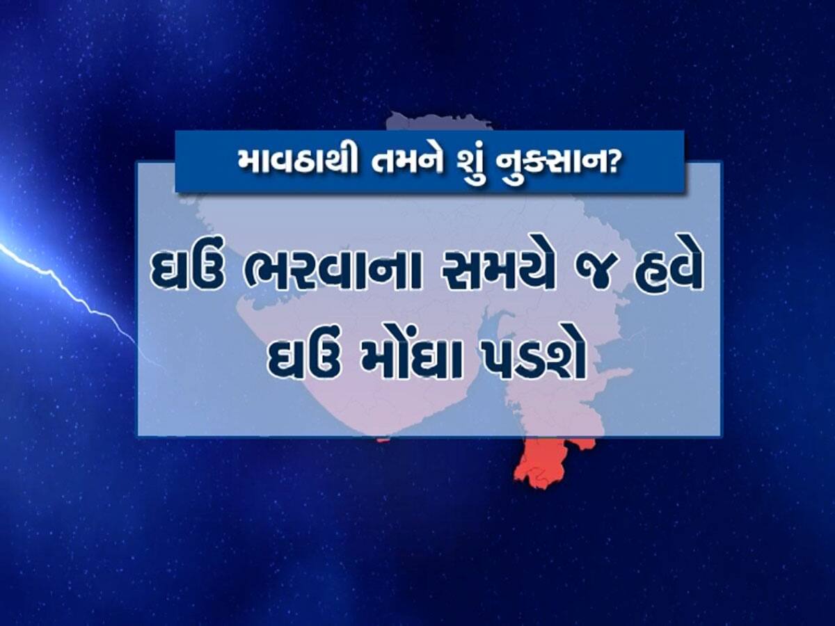 ઘરમાં ઘઉં ભરવાના હોય તો ખાસ જાણવા જેવી માહિતી, આ માવઠું તમારું બજેટ ખોરવી લેશે