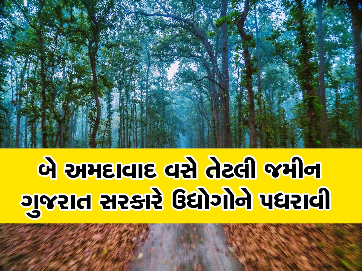 પહેલા ખોળાના દીકરાઓને ગુજરાત સરકારે પધરાવી દીધી અધધધ કરોડોની જંગલની જમીન