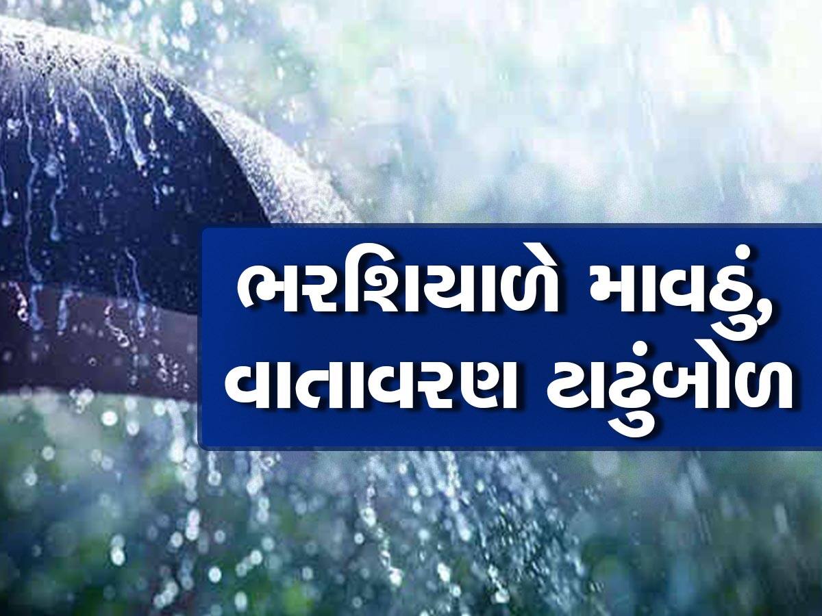 ગુજરાતમાં કઠોળ-શાકભાજીના ભાવમાં થશે ભડકો! ખેડૂતો રાતા પાણીએ રોવે તેવી સ્થિતિ!