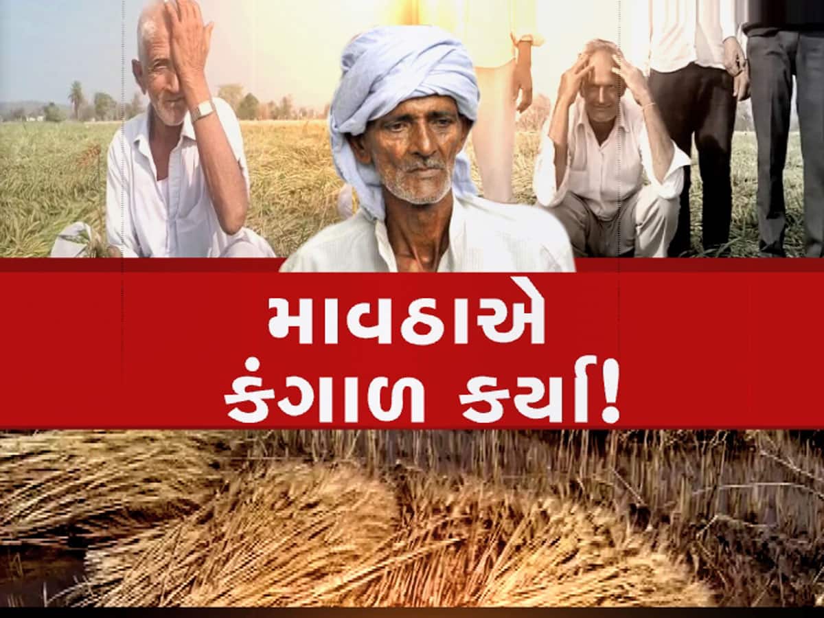 Gujarat Weather : માવઠાએ ગુજરાતના ખેડૂતોને કંગાળ કર્યાં, હાથમાં આવેલો કોળિયો છીનવાઈ ગયો