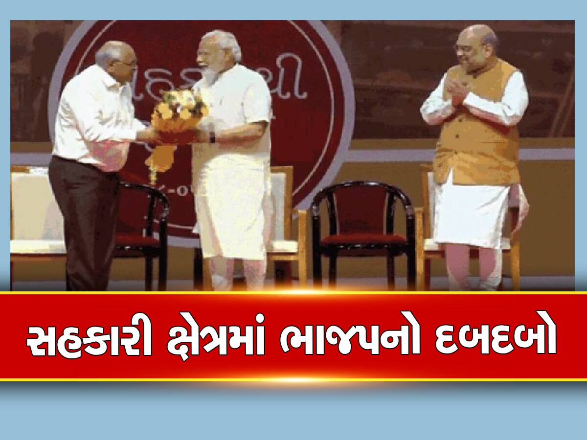 સહકારી ક્ષેત્રમાં ભાજપનો ડંકો વાગ્યો : કોંગ્રેસનું નામોનિશાન ભૂંસી નાંખ્યું