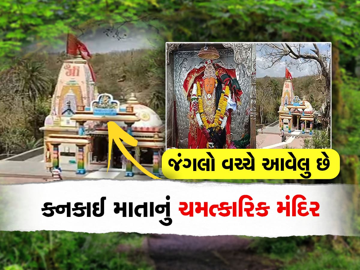 Chaitra Navratri 2023 : ગુજરાતનું એવું મંદિર જ્યાં ગમે ત્યારે સિંહો આવી ચઢે છે, અહીં દર્શન કરવા પરમિશન લેવી પડે છે