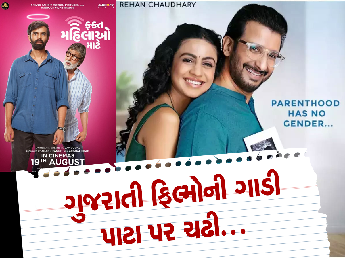 ગુજરાતી ફિલ્મોને સરકારે આપી સફળતાની સીડી, અત્યાર સુધી આટલી મદદ કરી