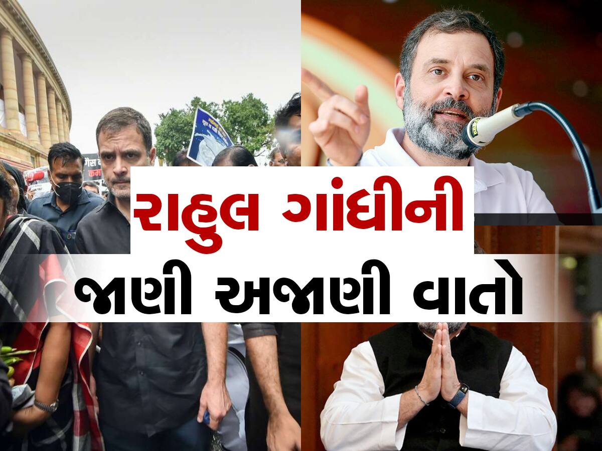 rahul gandhi education qualifications schooling to harvard university