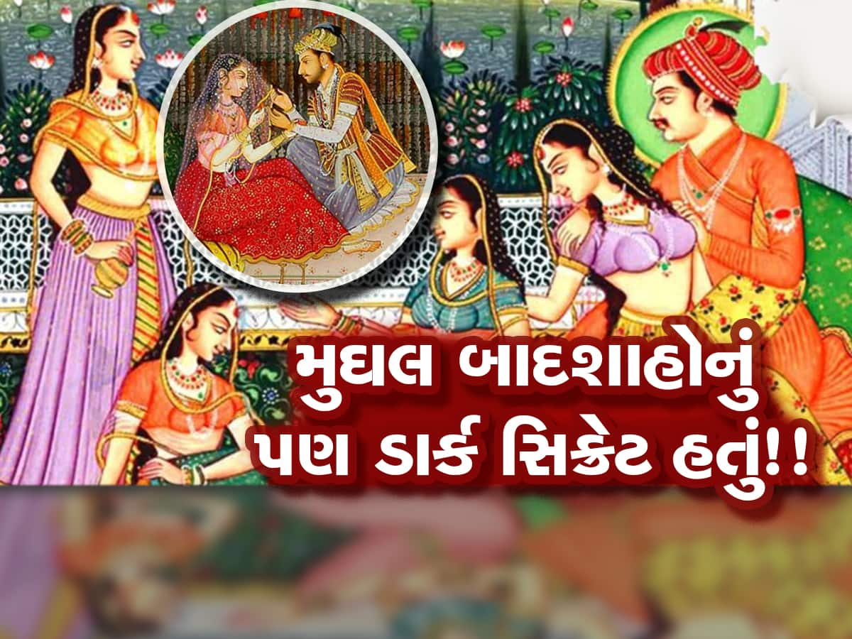 રાત રંગીન બનાવવા મુઘલ બાદશાહ આ ખાસ પ્રકારનું ભોજન ખાતા, જેનાથી રાણીઓ ખુશ થઈ જતી