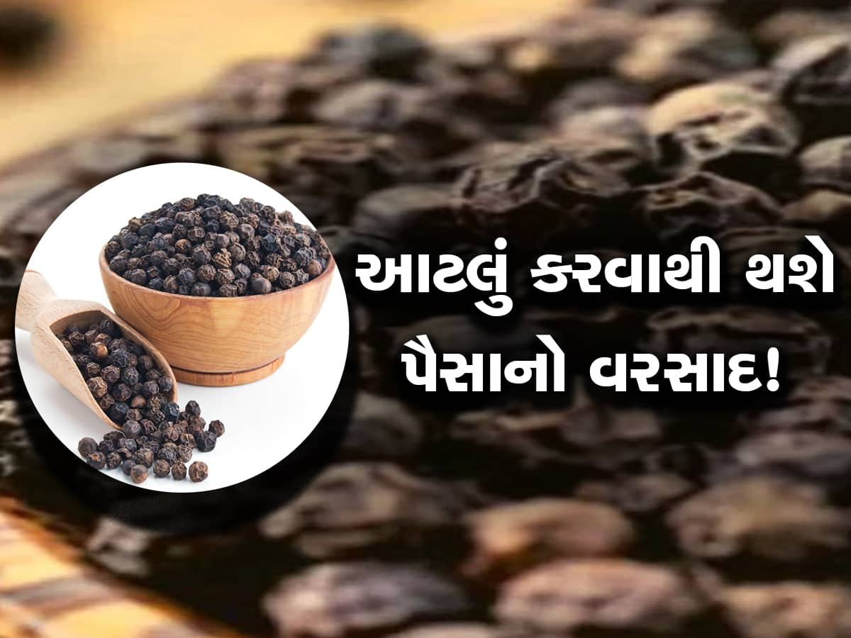 દુર્ભાગ્યને સૌભાગ્યમાં બદલી કાઢે છે કાળા મરીના આ ટોટકા, ઝમાઝમ પૈસાનો થશે વરસાદ