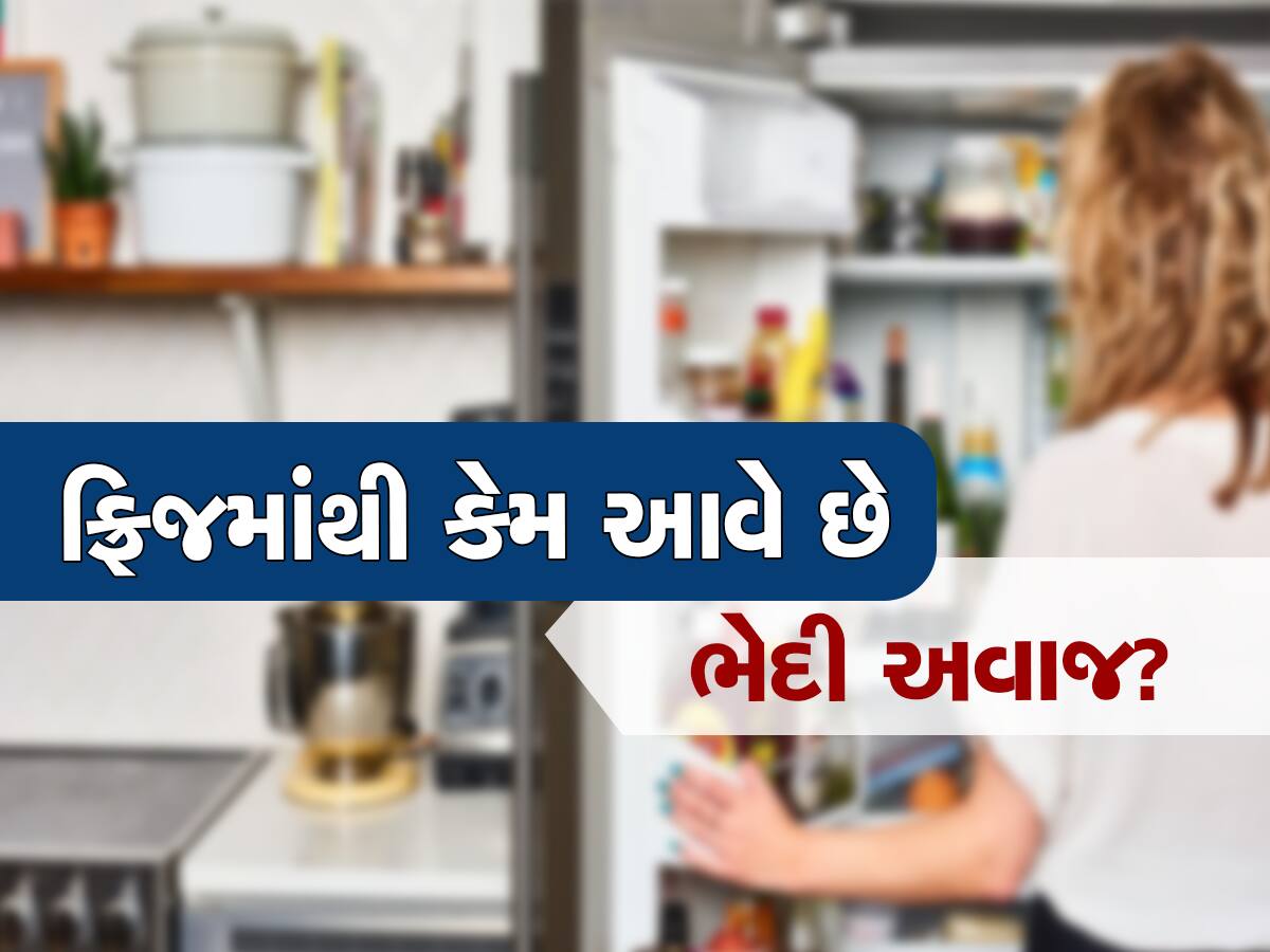 Refrigerator શું તમારા ફ્રિજમાંથી પણ આવે છે ભેદી અવાજ? તુરંત આ કામ કરો