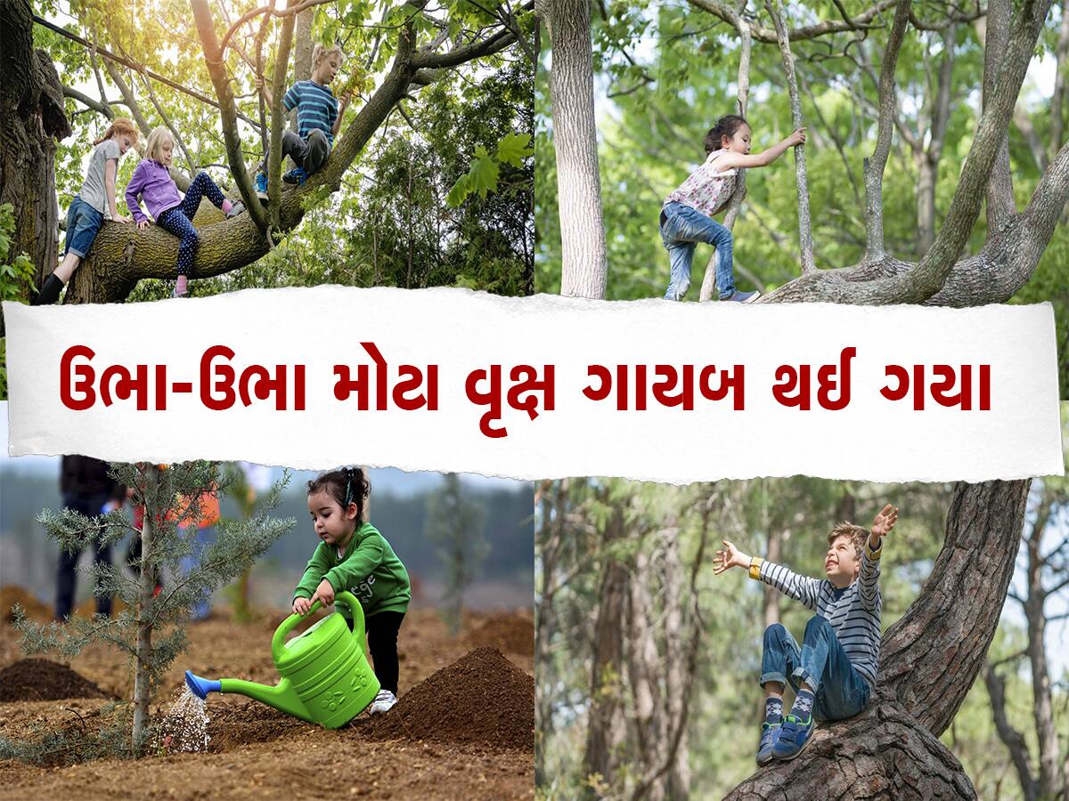 આ ગામમાં ઘરની બહાર બાળકો રમતા નથી, માતા-પિતાએ મૂક્યો છે પ્રતિબંધ, જાણો આ ગામમાં કેમ આવું છે?