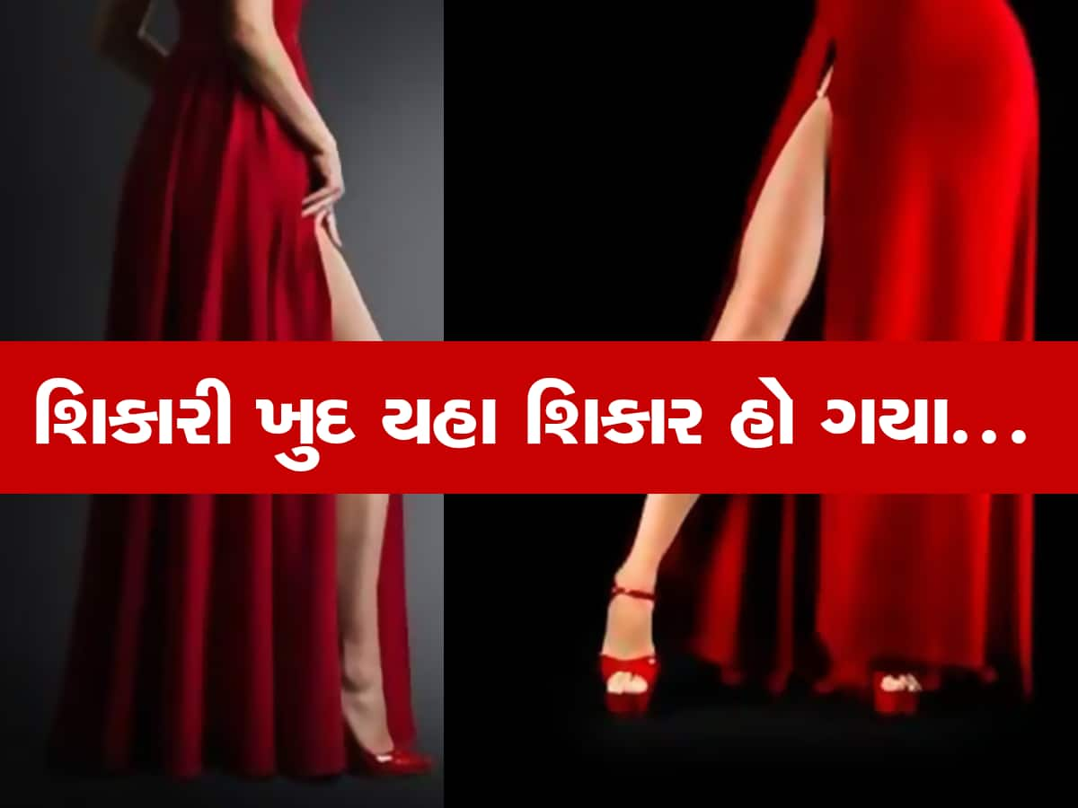 શિકારી ખુદ યહા શિકાર હો ગયા : સગીરોને નચાવવામાં મહિલાઓને મજા આવવા લાગી, આ કિસ્સા વાંચી મગજ ચકરાઈ જશે 