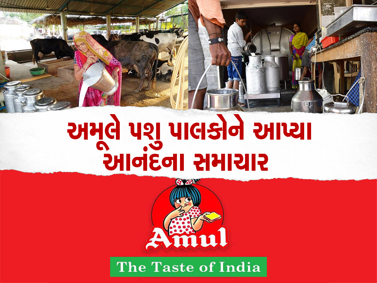 Amul એ પશુપાલકોની આપી મોટી ખુશખબરી : દૂધના ભાવમાં વધારો કર્યો, બીજી પણ મોટી જાહેરાત કરી