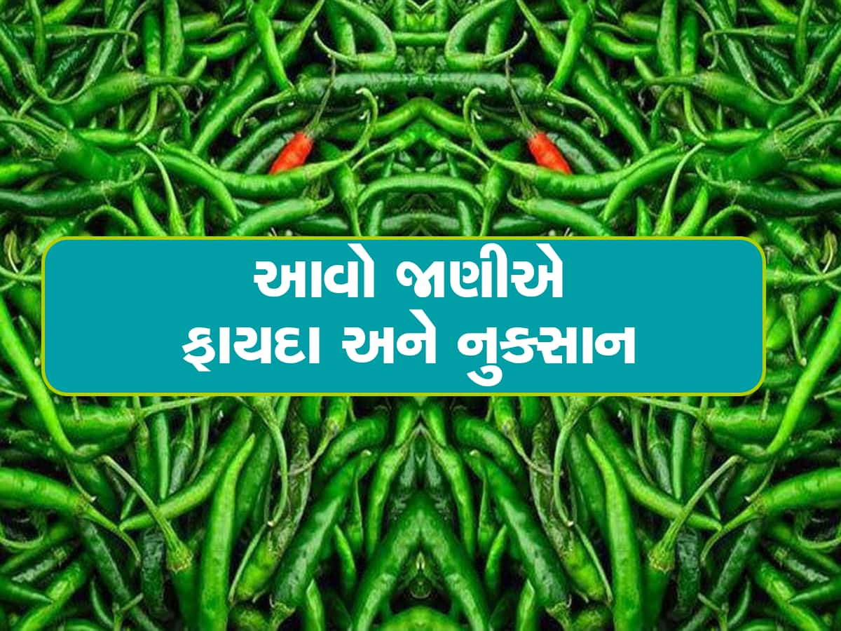 Health Tips: ભોજન સાથે સલાડમાં લીલા મરચાં ખાવા કેટલા યોગ્ય? જાણો શું કહે છે રિસર્ચ