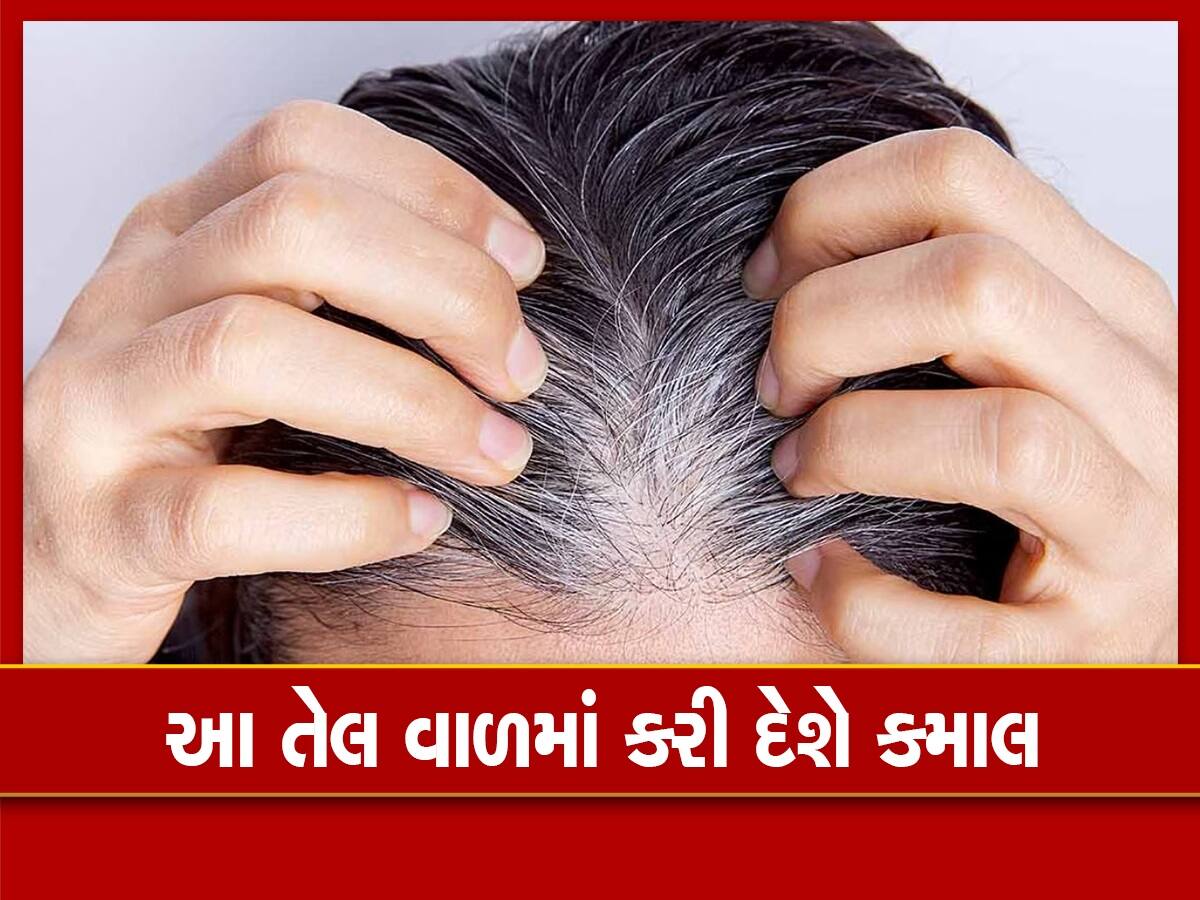 Oil For White Hair: આ દેશી તેલ કરશે કમાલ, સફેદ વાળ ફરી થઈ જશે કાળા