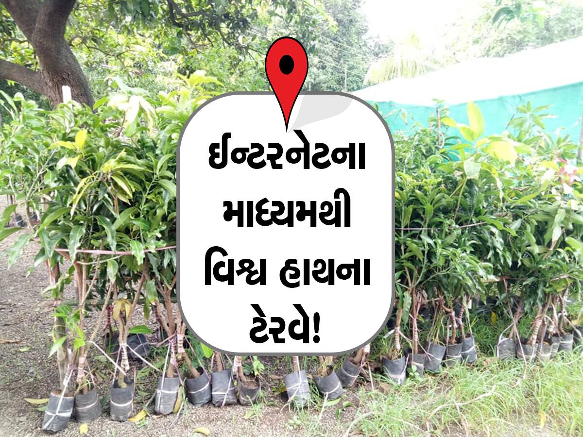 ગુજરાતના ખેડૂતોને હવે લીલાલહેર! આ એક પોર્ટલ પરથી ઓર્ડર કરી શકશે બાગાયતી પાકોની કલમ