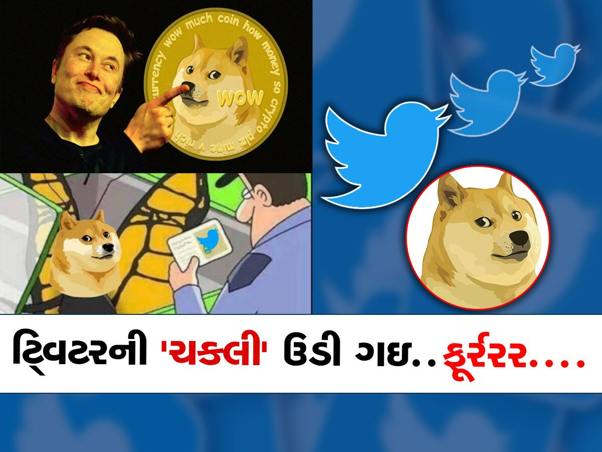 Twitter Logo: એલન મસ્કે યૂઝર્સને આપી સરપ્રાઇઝ, ટ્વિટરના ઇતિહાસમાં કર્યો સૌથી મોટો ફેરફાર