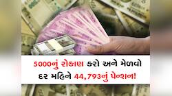 NPS:₹5000નું કરો રોકાણ અને ₹1 કરોડ 11 લાખ 98 હજાર 471 મેળવો, દર મહિને ₹44,793નું મળશ