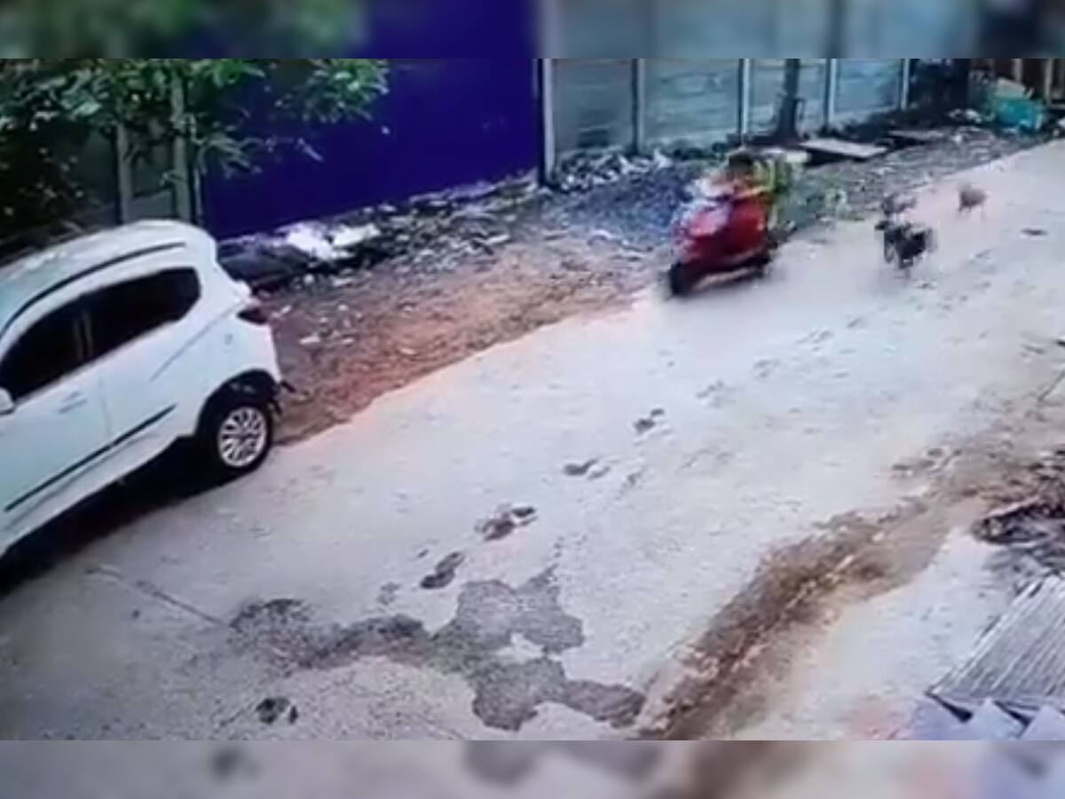 Watch Video: સ્કુટી પર જતી મહિલા પાછળ પડ્યું શ્વાનનું ટોળું, આંખના પલકારામાં થયો અકસ્માત