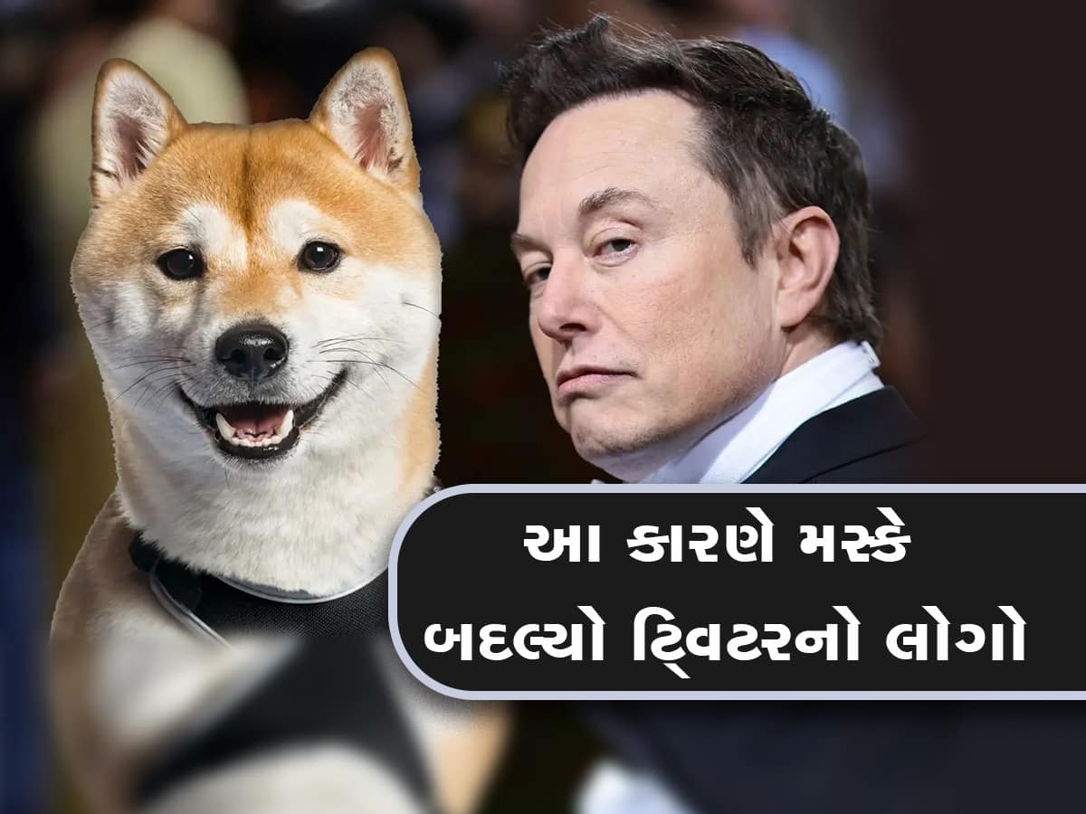 બધો ધંધો છે બાબુ ભૈયા, એલન મસ્કે Twitter પર  કૂતરો એમ જ નથી મૂક્યો, મજાક-મજાકમાં અબજોની કરી કમાણી!